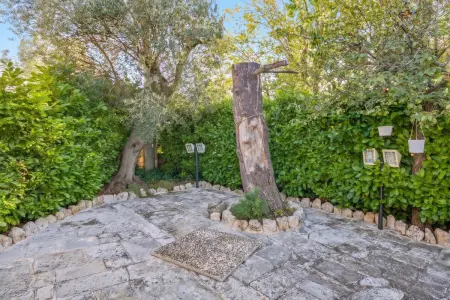 Maison charmante près de Monopoli avec terrasse, Maison 4 personnes à Monopoli : photo 26