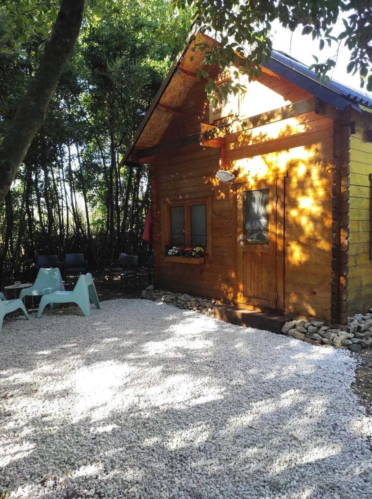 Chalet 30 m² avec piscine ouverte toute l'année à Orange - Photo 6