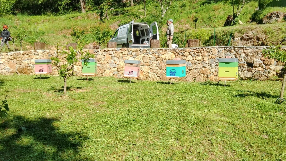 Maison 9 personnes avec piscine et jeux à Saint-Julien-de-la-Nef - Photo 19