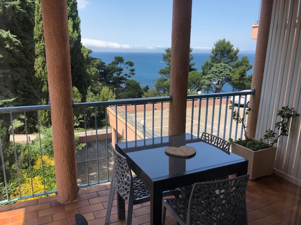 Studio Vue Mer à Collioure - 27 m² - Balcon Privé - Photo 1