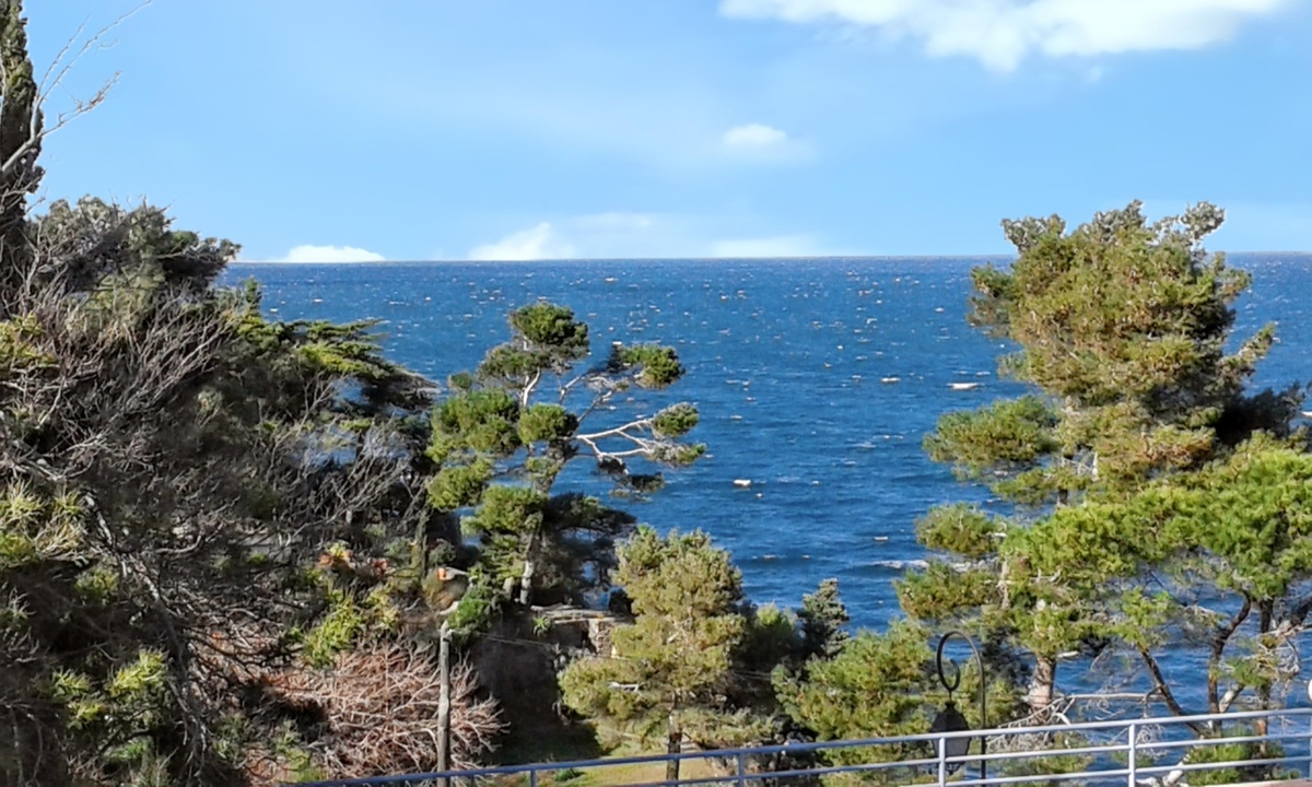 Studio Vue Mer à Collioure - 27 m² - Balcon Privé - Photo 2