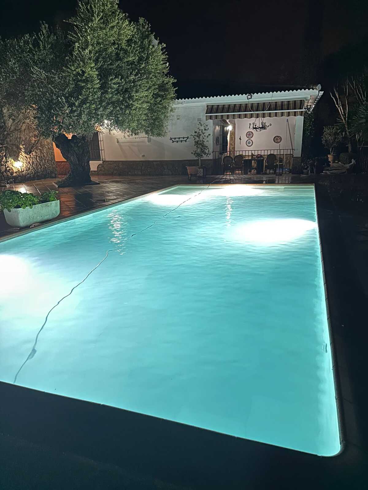 Villa 130 m² piscine privée toute l'année à Villamartin - Photo 29