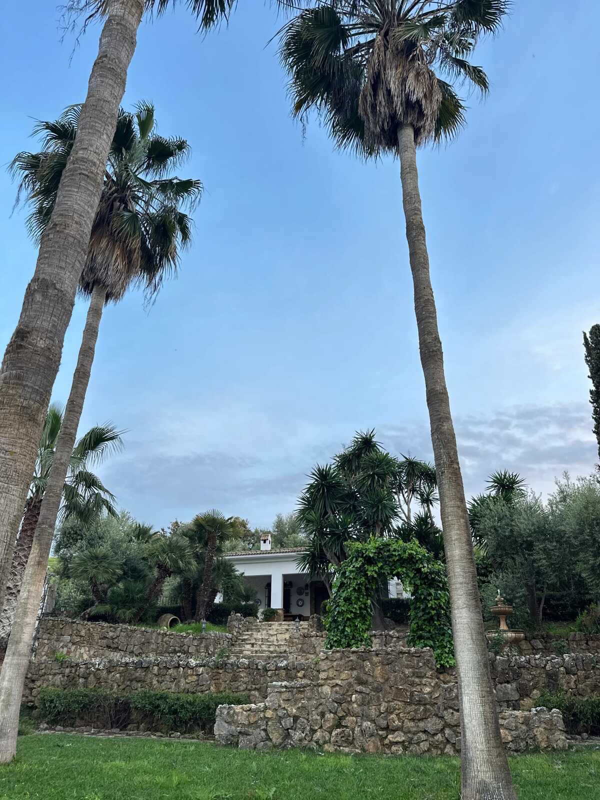 Villa 130 m² piscine privée toute l'année à Villamartin - Photo 45