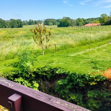 Studio 28 m² avec terrasse et navette thermes à Cazaubon : photo 9