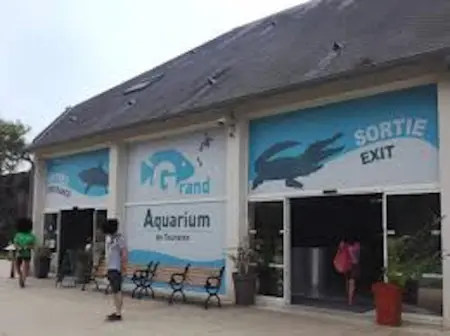 Bungalow 6 personnes avec piscine partagée à Onzain : photo 28