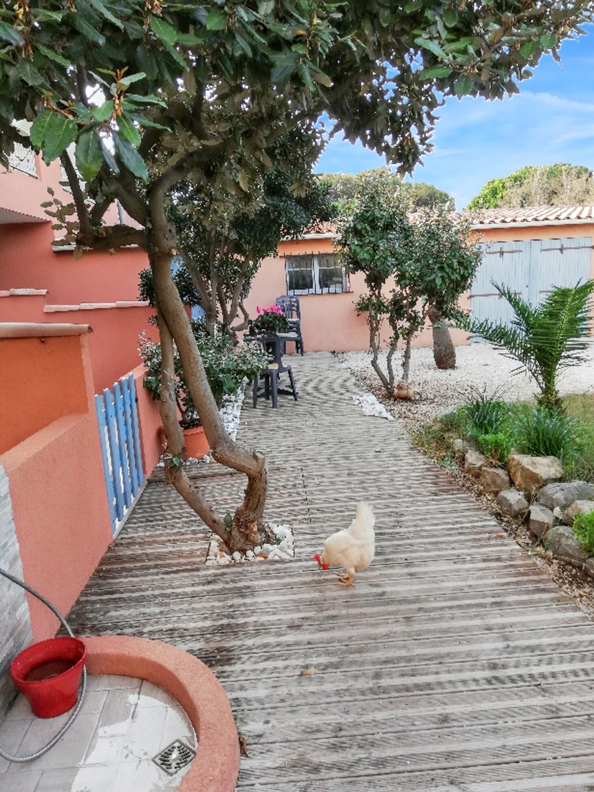 Studio 20 m² à Hyères, terrasse et barbecue - Photo 2