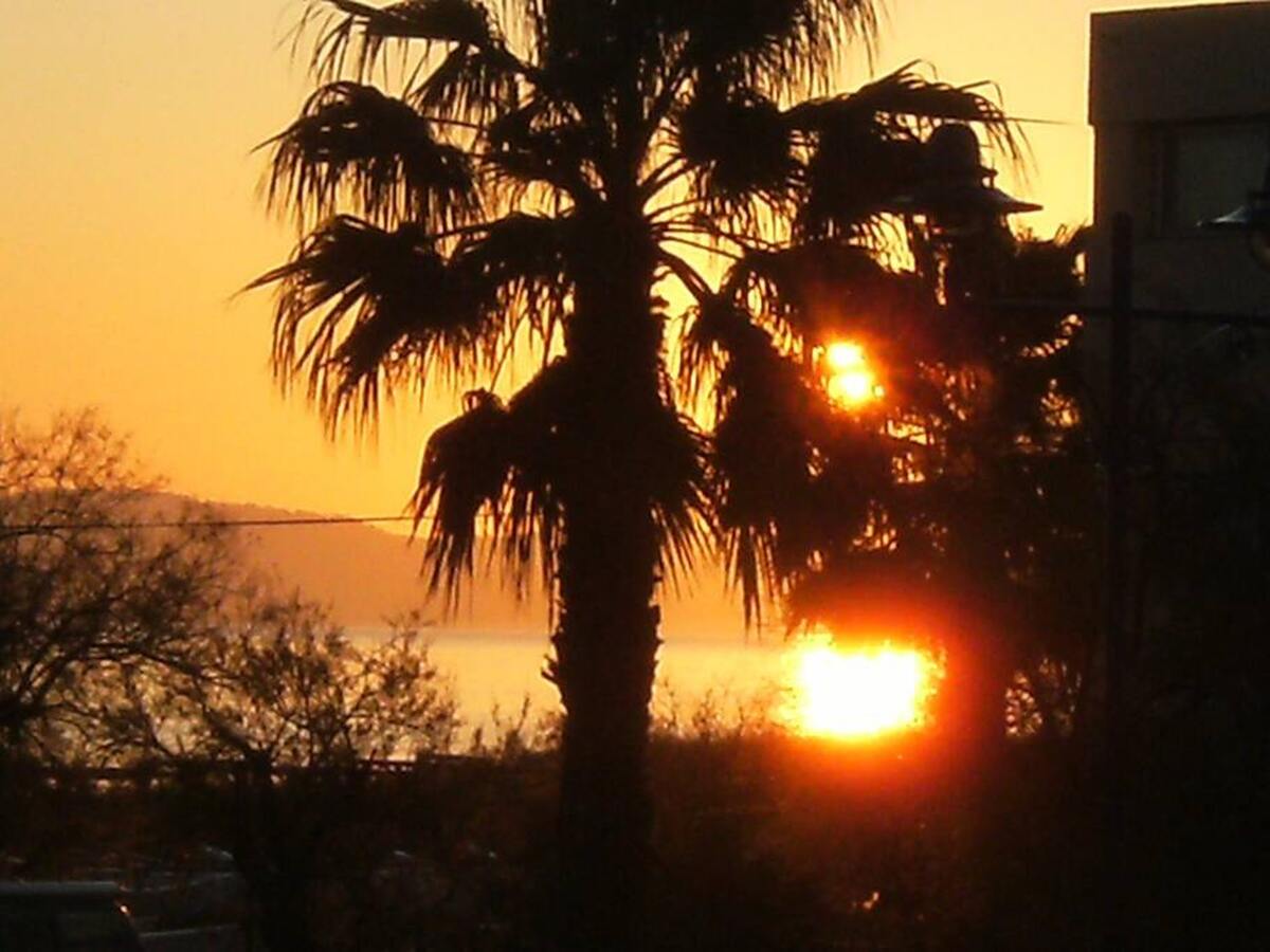 Studio 20 m² à Hyères, terrasse et barbecue - Photo 10