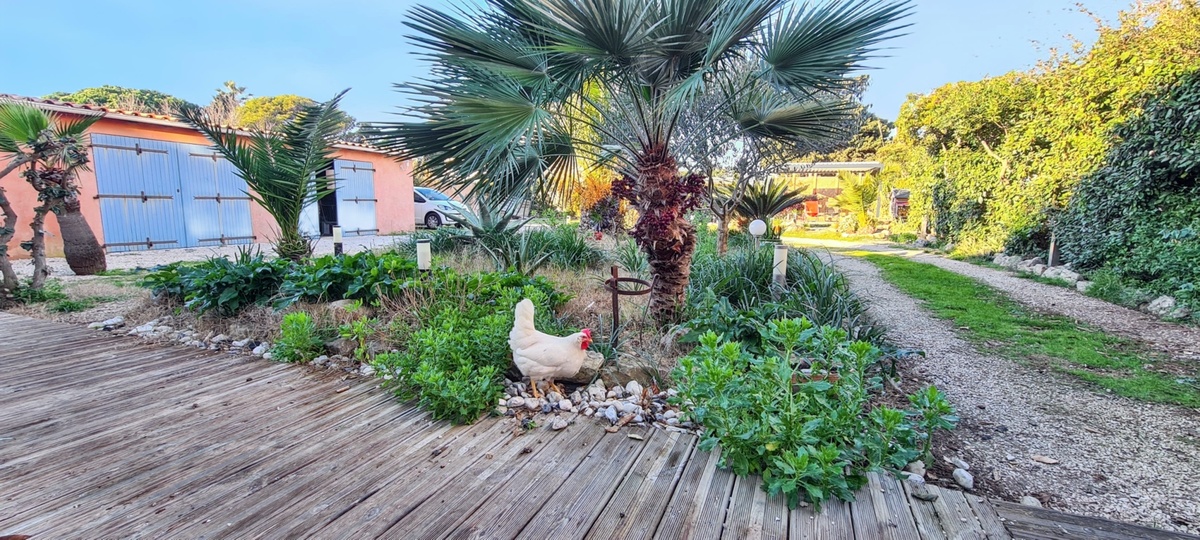 Studio 20 m² à Hyères, terrasse et barbecue - Photo 15