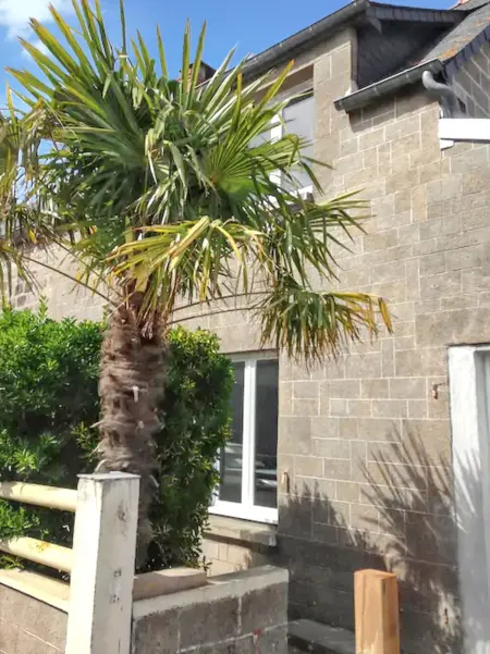 Maison 3 chambres à Le Vivier-sur-Mer, proche de la mer et des commerces : photo 23