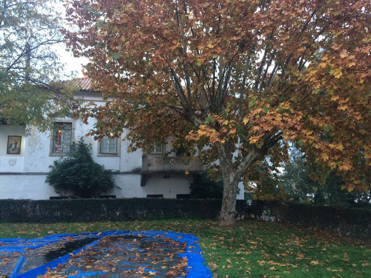 Villa 16 pers. piscine privée saisonnière à Vila Verde - Photo 51
