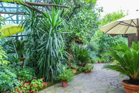 Appartement avec vue mer et terrasse à Sorrento, 3 personnes : photo 2