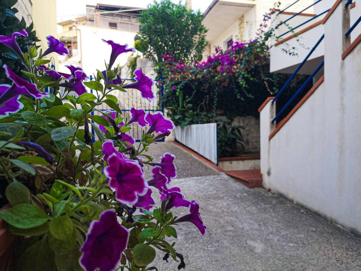 Appartement 50m² avec balcon à Alcamo, près des plages - Photo 26