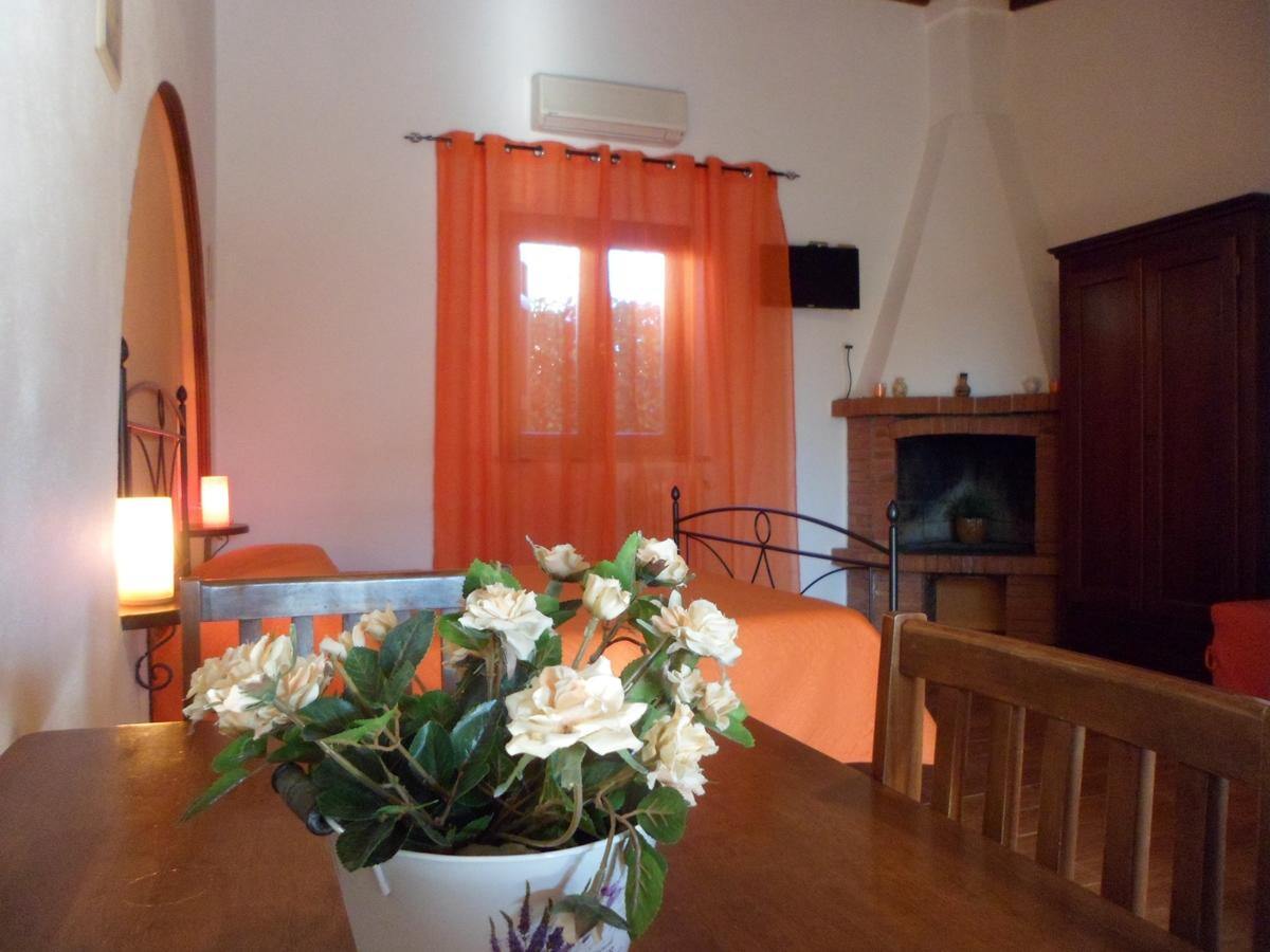 Studio 28 m² avec terrasse et barbecue à Pescia Romana - Photo 6