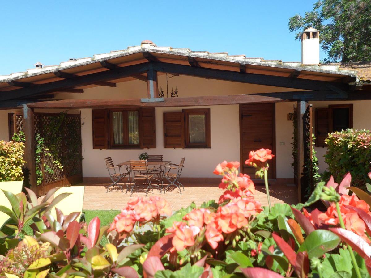 Studio 28 m² avec terrasse et barbecue à Pescia Romana - Photo 10