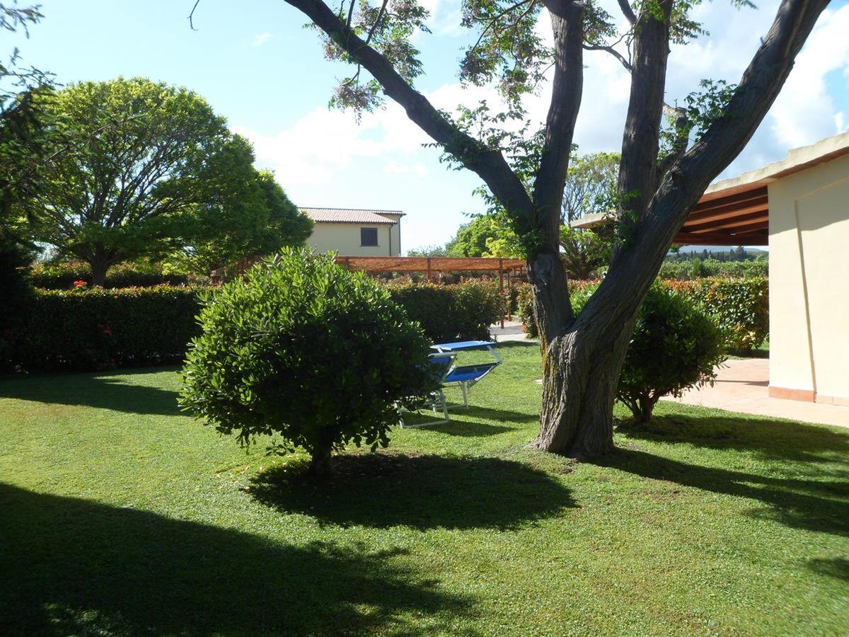 Studio 28 m² avec terrasse et barbecue à Pescia Romana - Photo 18