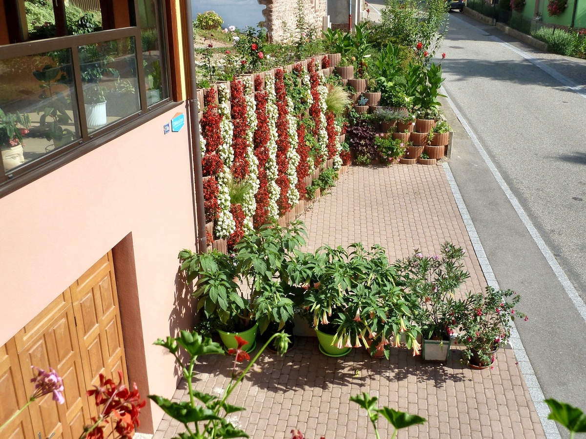 Appartement 60 m² avec jardin et vue montagne à Bernardvillé - Photo 6