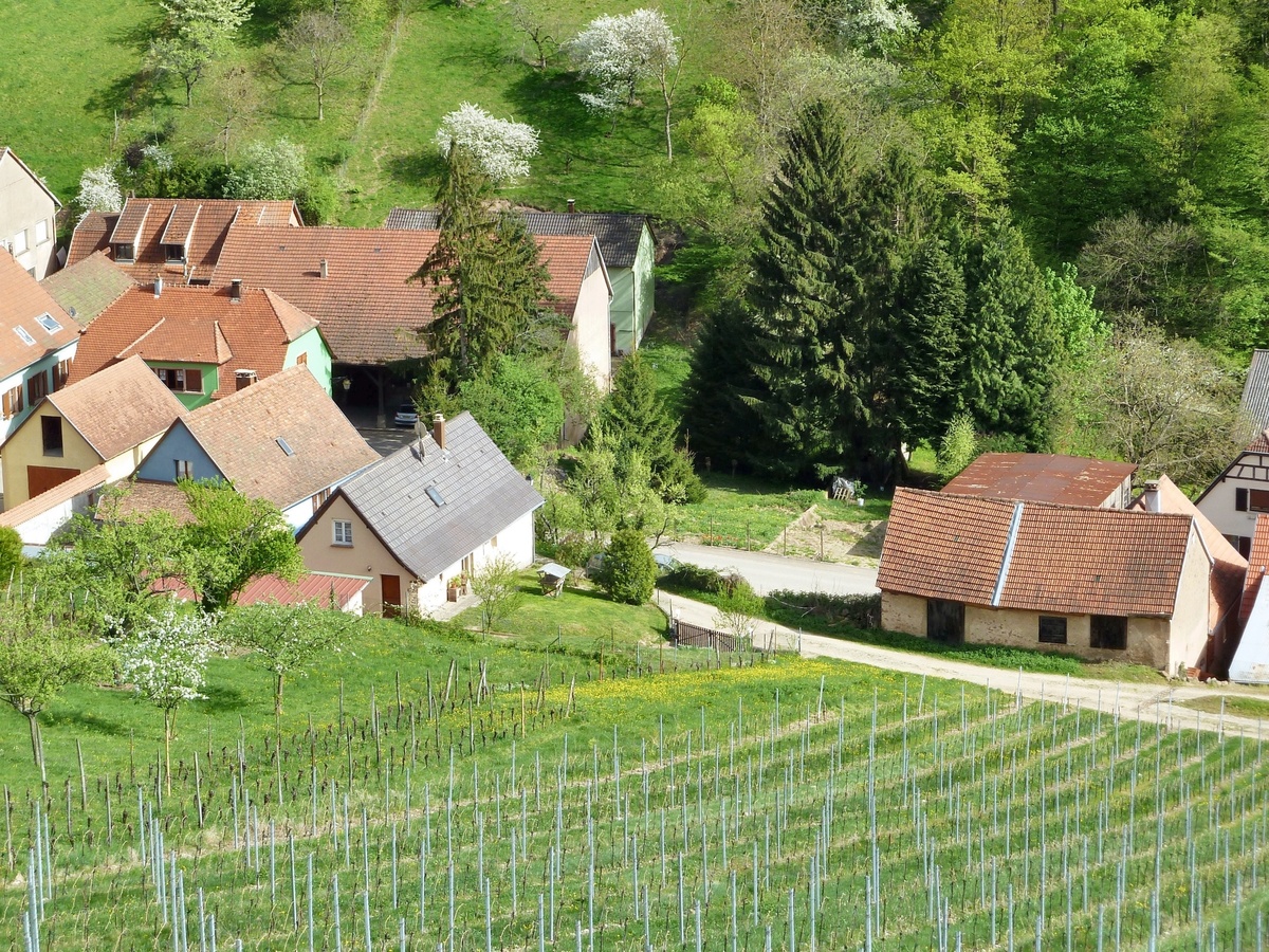 Appartement 60 m² avec jardin et vue montagne à Bernardvillé - Photo 12