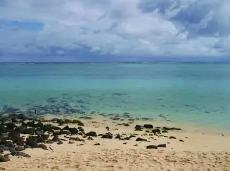 Maison avec piscine partagée à Albion, à 100 m de la plage : photo 32