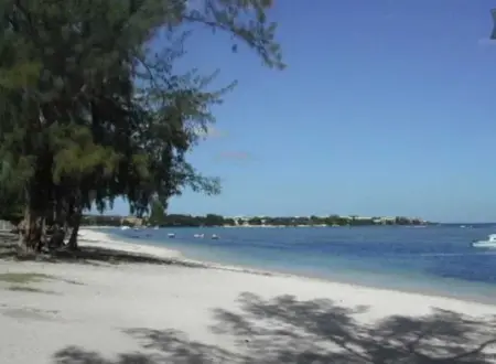 Maison avec piscine partagée à Albion, à 100 m de la plage : photo 33