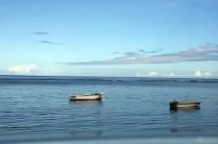 Maison avec piscine partagée à Albion, à 100 m de la plage : photo 36