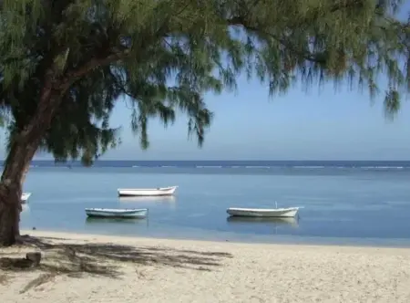 Maison avec piscine partagée à Albion, à 100 m de la plage : photo 37