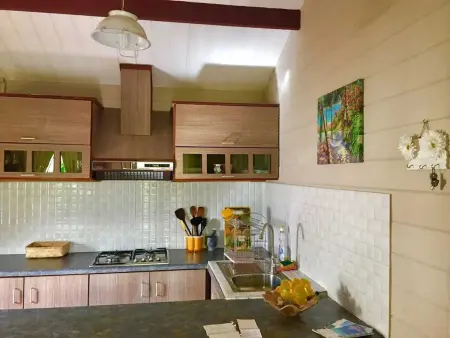 Maison avec piscine partagée à Albion, à 100 m de la plage : photo 46