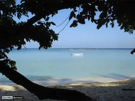 Maison avec piscine partagée à Albion, à 100 m de la plage : photo 47