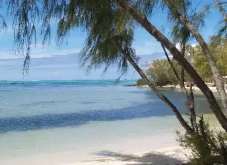 Maison avec piscine partagée à Albion, à 100 m de la plage : photo 48