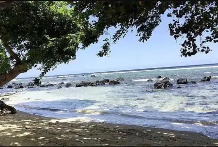 Maison avec piscine partagée à Albion, à 100 m de la plage : photo 51
