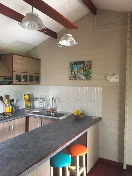 Maison avec piscine partagée à Albion, à 100 m de la plage : photo 52