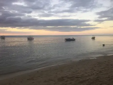 Maison avec piscine partagée à Albion, à 100 m de la plage : photo 60