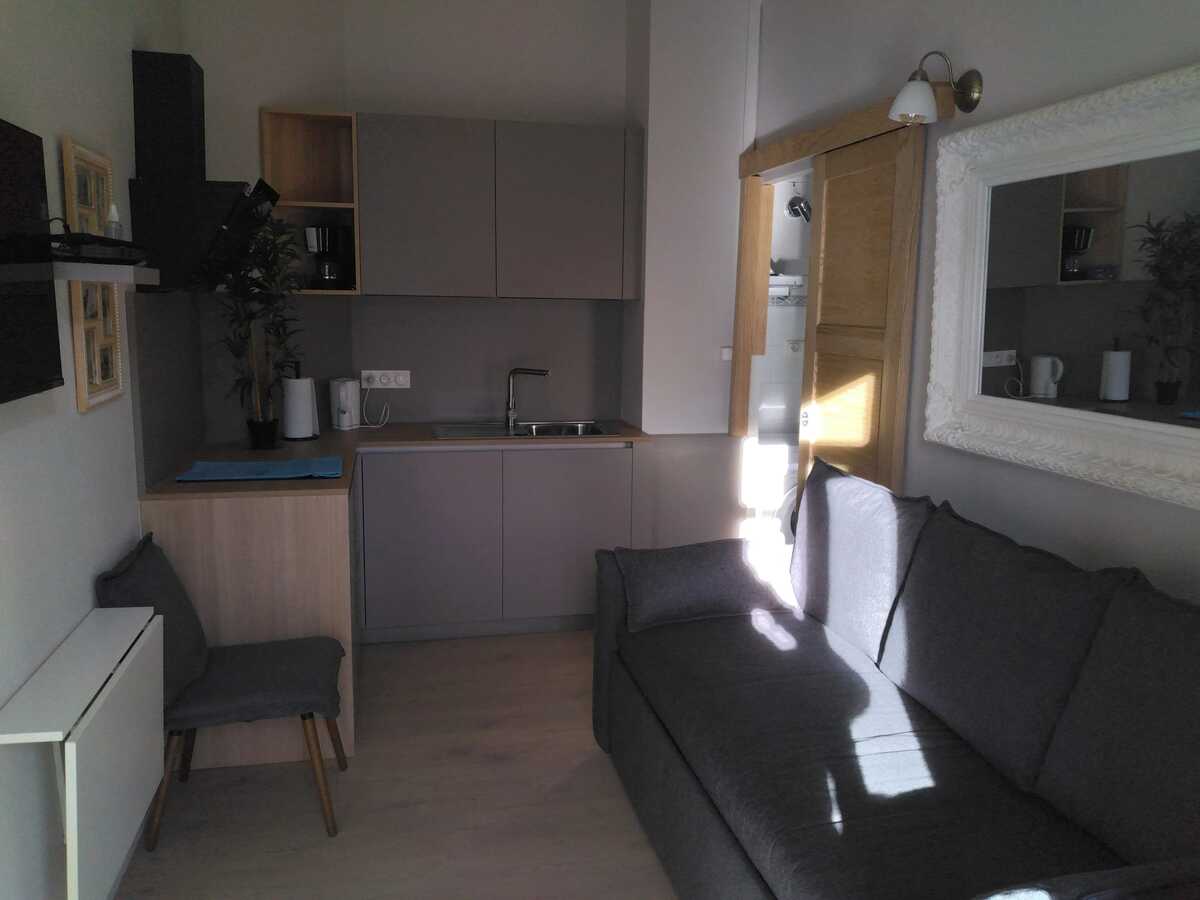 Studio 17m² vue montagnes, balcon privé, parking - Photo 9