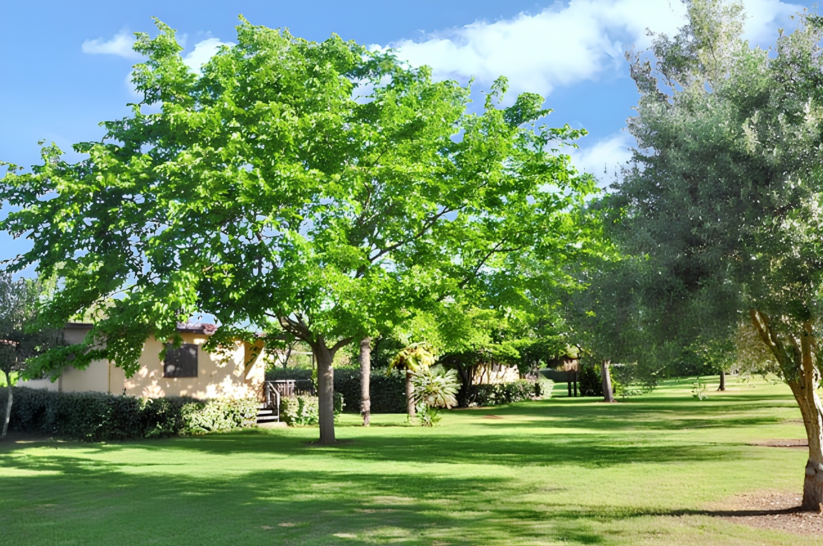 Bungalow 4 pers. avec jardin et vue montagne - Photo 14