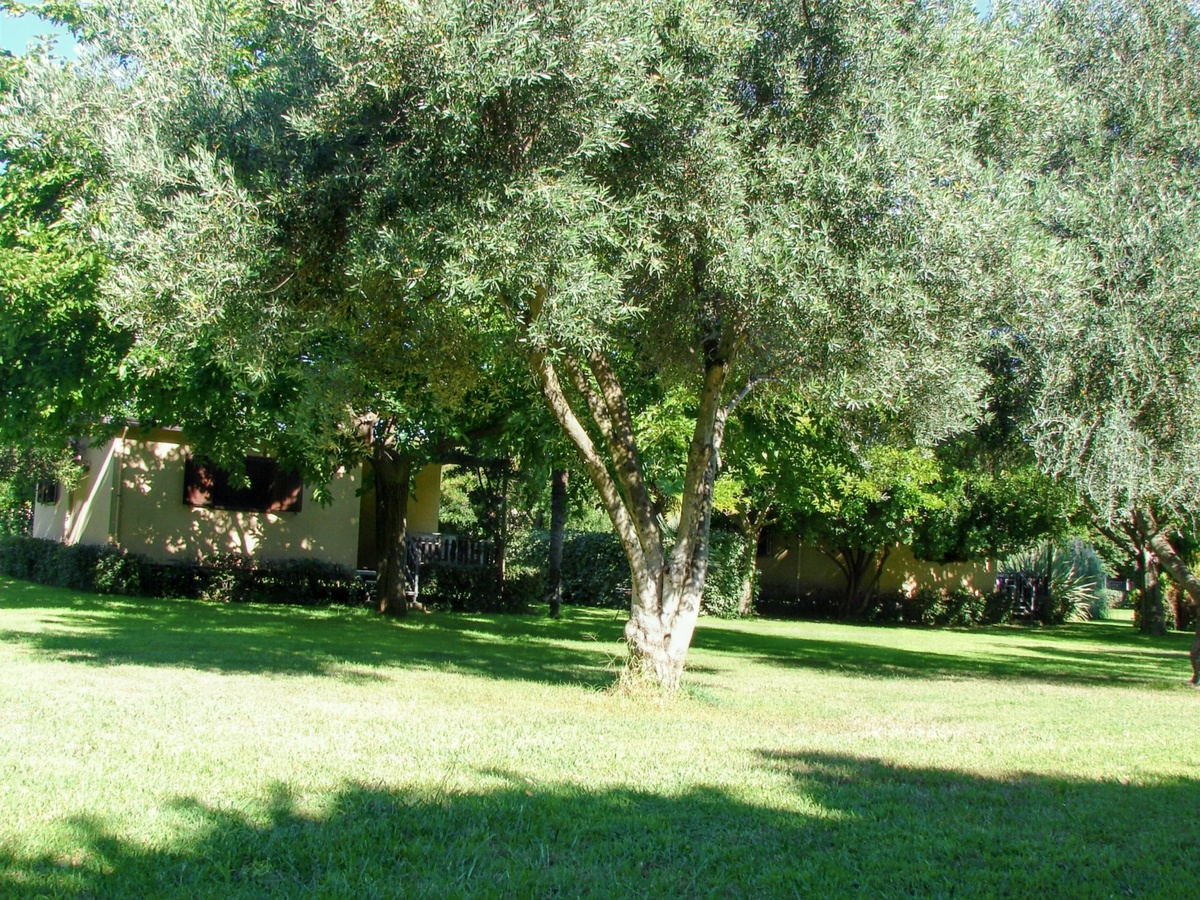 Bungalow 4 pers. avec jardin et vue montagne - Photo 19