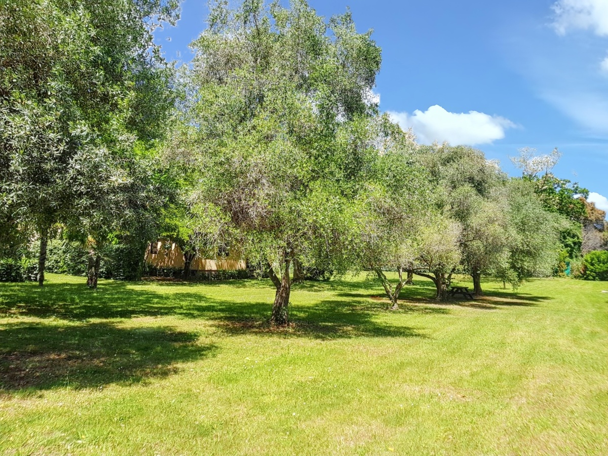 Bungalow 4 pers. avec jardin et vue montagne - Photo 20