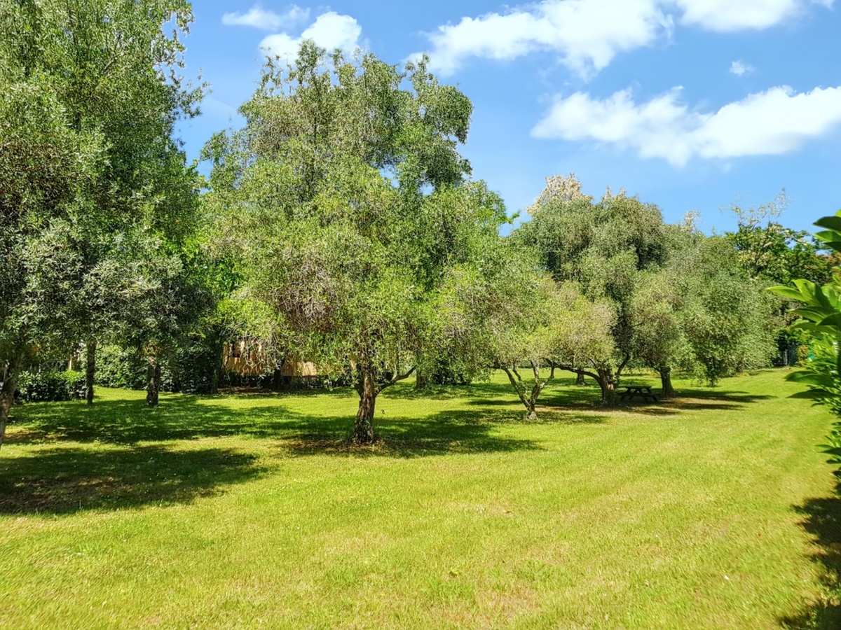 Bungalow 4 pers. avec jardin et vue montagne - Photo 21