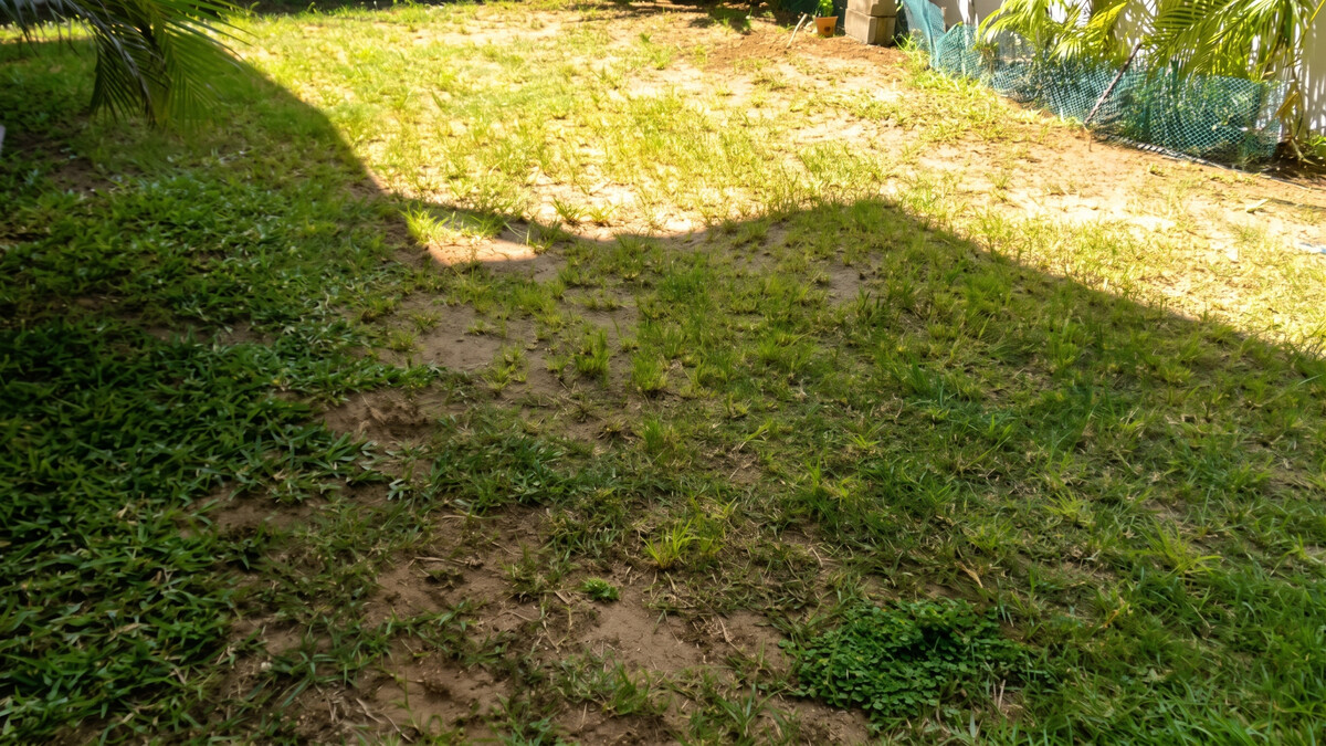 Appartement 115 m² à Flic en Flac, vue montagne et jardin clos - Photo 15