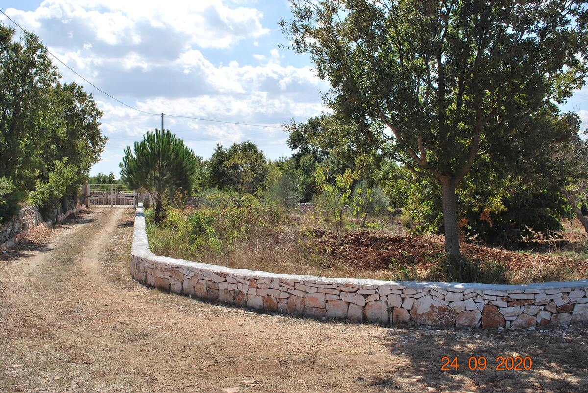 Maison charmante à Locorotondo, jardin clôturé - Photo 6