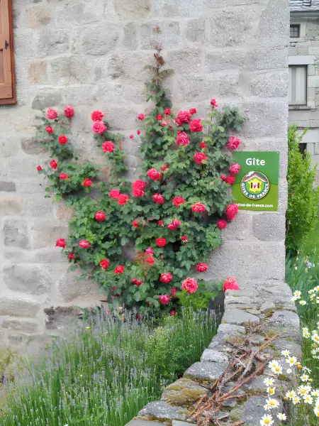 Maison de charme avec vue montagne, jardin clos à Albaret-Sainte-Marie : photo 17