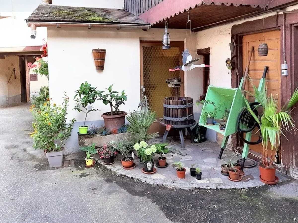Maison 95 m² à Ingersheim, vue montagne et terrasse - Photo 16