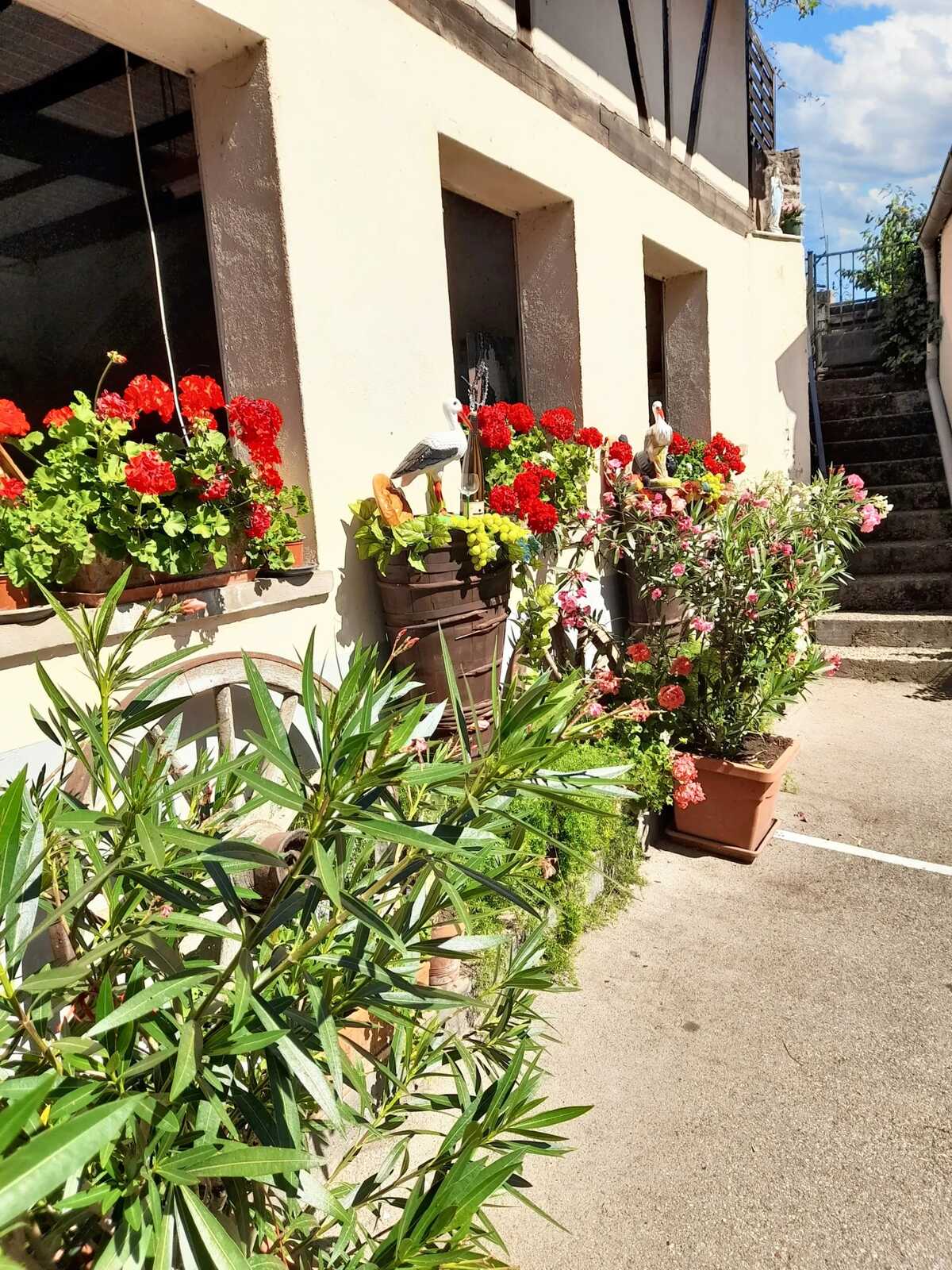 Maison 95 m² à Ingersheim, vue montagne et terrasse - Photo 22