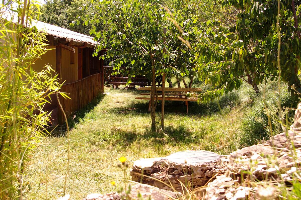 Maison 12 pers. avec sauna et jacuzzi à Camps-sur-l'Agly - Photo 23
