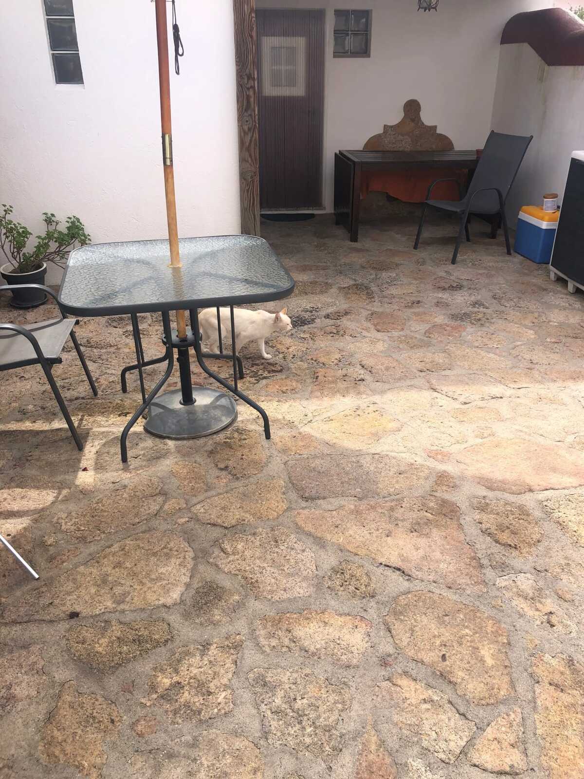 Maison 2 chambres à Beirã, jardin et barbecue - Photo 24