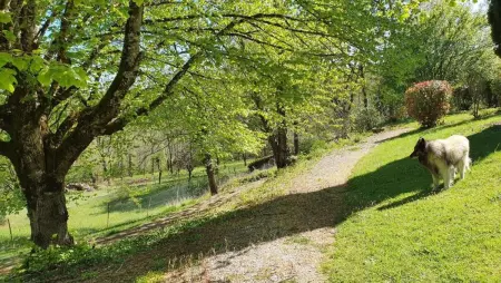 Maison avec jardin et piscine partagée à Puy-l'Évêque, 4 pers. : photo 21
