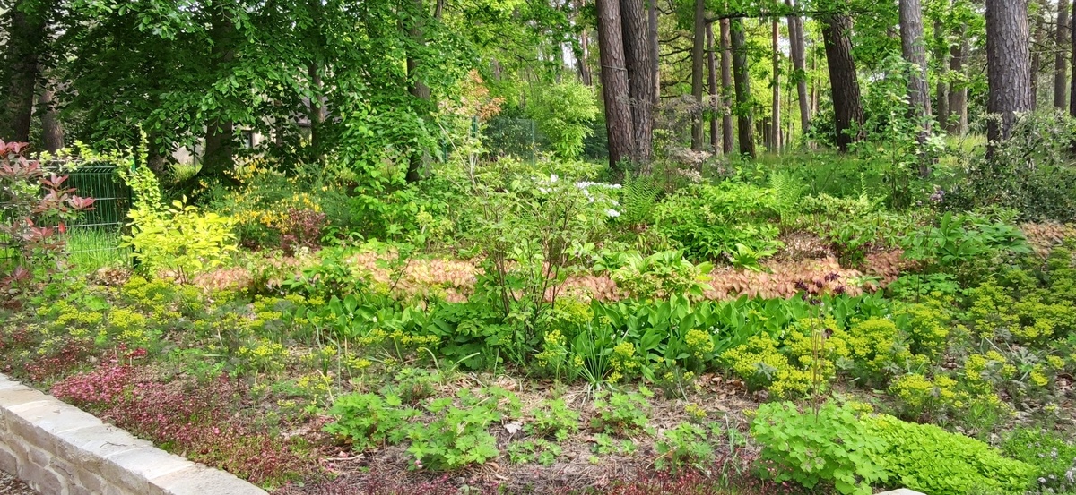Maison 54 m² à Arbonne-la-Forêt, terrasse et jardin - Photo 10