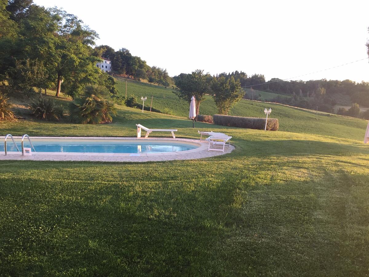 Villa 250m² 5 chambres piscine privée à Montelabbate - Photo 48