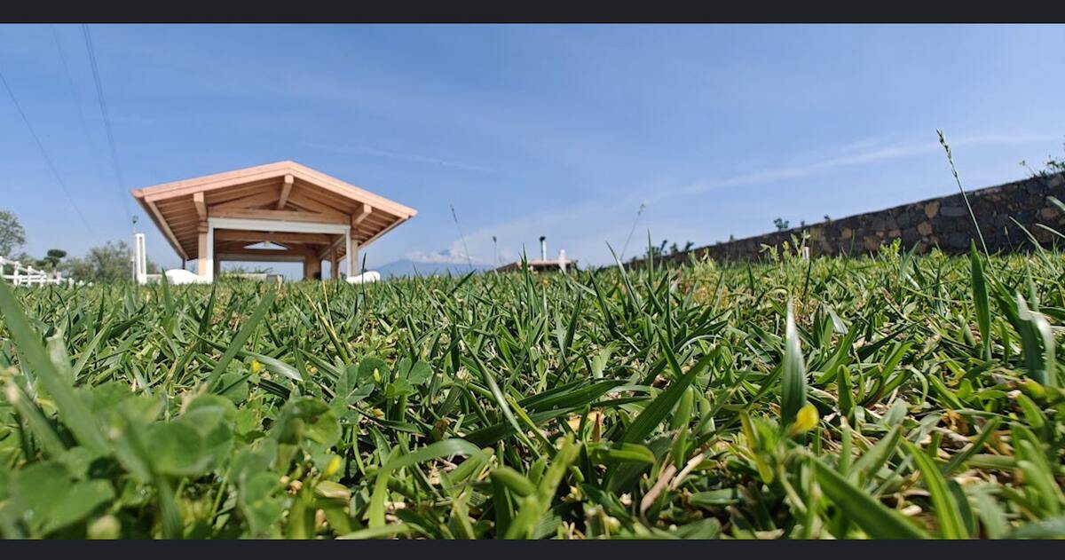 Appartement avec piscine saisonnière à Acireale - Photo 19