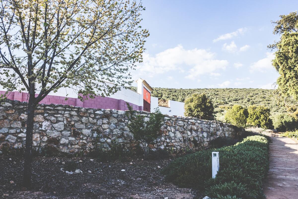 Maison 1 chambre à Estepa, piscine et vue montagne - Photo 21