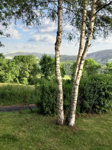 Maison confortable avec vue sur la montagne à Le Fau - Photo 10