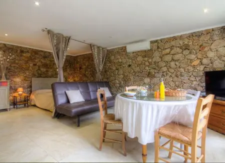 Studio 30 m² avec terrasse et vue montagne à Moltifao : photo 3
